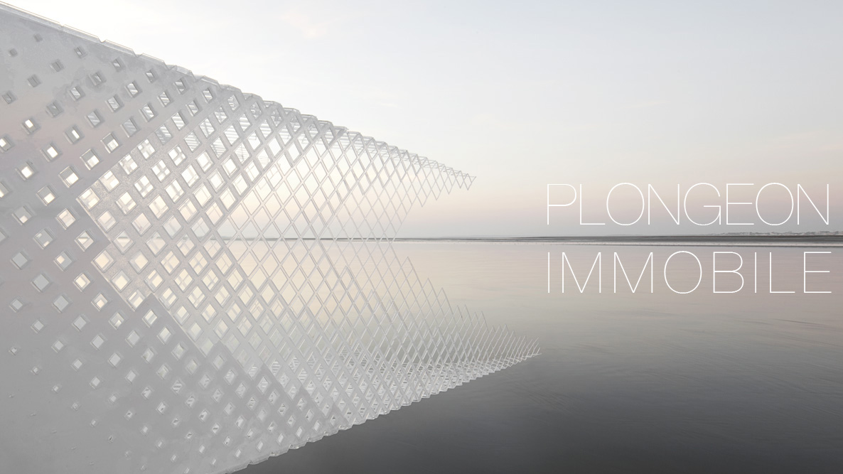 PLONGEON IMMOBILE